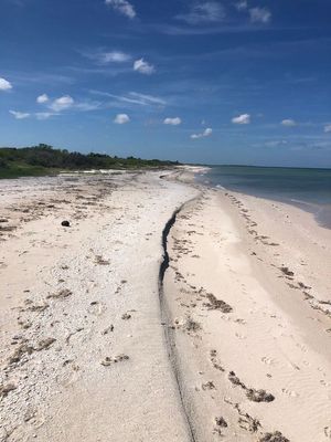 Venta de Terreno Frente al Mar en Puerto Sisal, Yucatán.