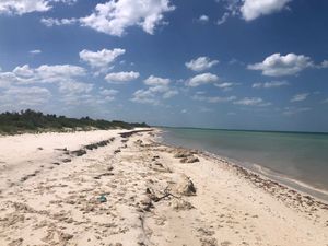 Venta de Terreno Frente al Mar en Puerto Sisal, Yucatán.