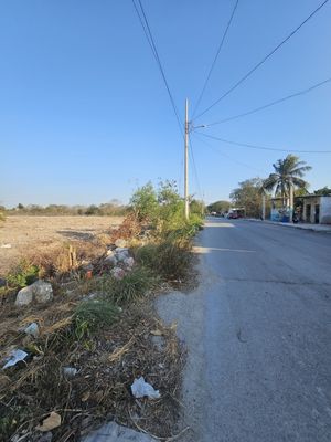 Venta de Terreno en el Paraíso, Yucatán.