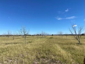 Terreno en Venta en Concordia (La Rosita) San Pedro