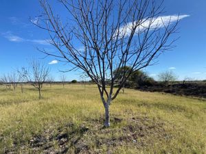 Terreno en Venta en Concordia (La Rosita) San Pedro