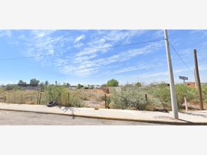 Terreno en Venta en Jabonoso Gómez Palacio