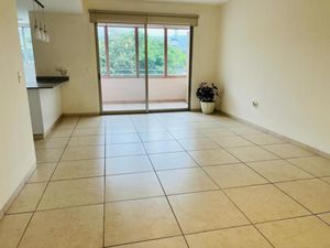 Departamento en Renta en Tlaltenango Cuernavaca