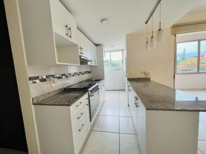 Departamento en Renta en Tlaltenango Cuernavaca