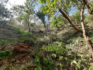 Terreno en Venta en San Agustinillo Santa María Tonameca