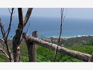 Terreno en Venta en Playa Zipolite San Pedro Pochutla