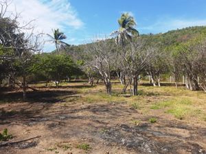 Terreno en Venta en Mazunte Santa María Tonameca