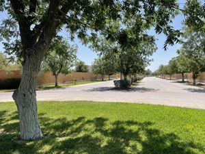 Terreno en Venta en La Barranca Torreón