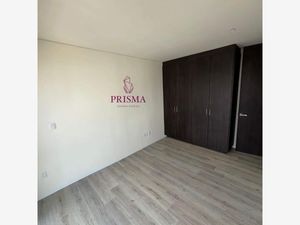 Departamento en Renta en Hipodromo Agua Caliente Tijuana