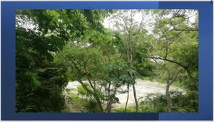 Terreno para inversionistas o desarrolladores. Playa del Carmen. Quintana Roo.