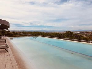 Infinity Pool