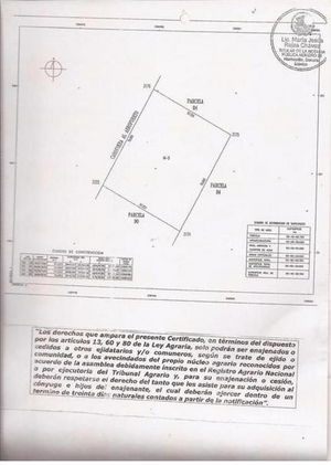 Terreno 4000 m2  Pto Libertad fte. pavimento y Pista