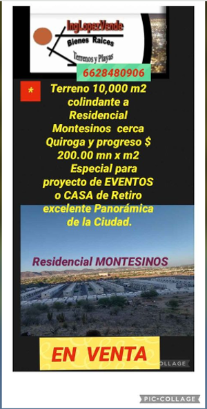 VENTA terreno 10,000 m2 OPORTUNIDAD