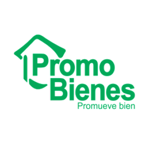 PROMO BIENES INMOBILIARIA