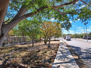 Se Renta terreno de 650m2  frente al Gran Parque La Plancha, en calle 39 con 48