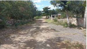 Terreno en Venta de 30,000m2, junto Col. Plan de Ayala Sur,  sur de Mérida, Yuc.