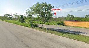 Venta Terreno de 11.8 has en Sierra Papacal, en avenida  del Parque Científico