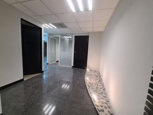 Renta de Oficina Anzures | 335 m2 | Acondicionada