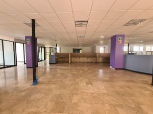 Renta de Oficina Insurgentes Sur | 300 m2 | Acondicionada