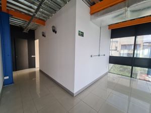 Renta de Oficina Del Valle | 300 m2 | Acondicionada