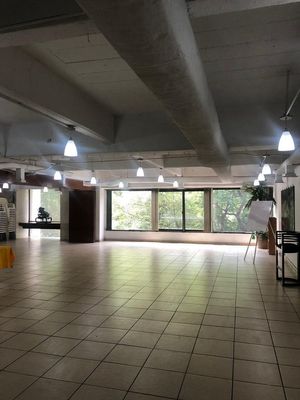 Oficina Acondicionada 200 m2 | Reforma