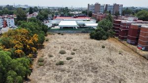 TERRENO EN RENTA EN LA COL. ARCOS DEL ALBA