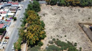 TERRENO EN RENTA EN LA COL. ARCOS DEL ALBA