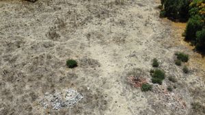 TERRENO EN RENTA EN LA COL. ARCOS DEL ALBA