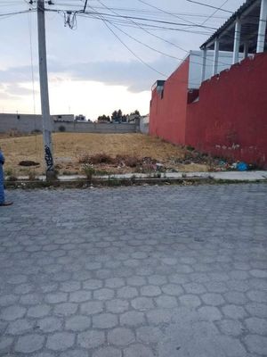 Terreno 1, 480 m2 en Metepec,  San Miguel  Toto