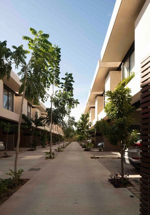 Casa en Renta en Temozón con paneles solares