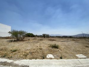 Venta de terreno en Preserve Campestre