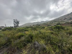 Venta de Terreno 7000 m2 en Carreterra Libre Tijuana-Tecate El Bajio