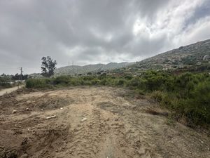 Venta de Terreno 7000 m2 en Carreterra Libre Tijuana-Tecate El Bajio