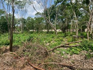 TERRENO EN TIZIMIN, MERIDA