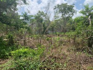 TERRENO EN TIZIMIN, MERIDA