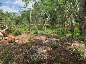 TERRENO EN TIZIMIN, MERIDA