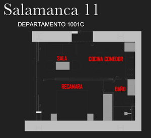 Estrena Departamento en la Roma