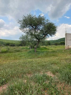 Terreno para el proyecto que quieras