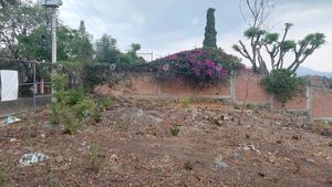 Venta Terreno en Hacienda Tetela - T62