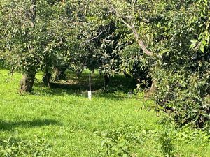 Venta Terreno en  Santa María Ahuacatitlan - T63