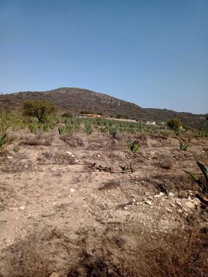 Venta de terreno rustico con vista en Epazoyuca, Hidalgo