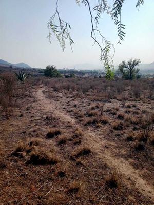 Venta de terreno rustico con vista en Epazoyuca, Hidalgo