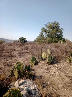 Venta de terreno rustico con vista en Epazoyuca, Hidalgo