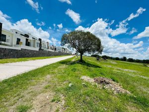 REMATE DE TERRENOS EN HARÁS DEL BOSQUE