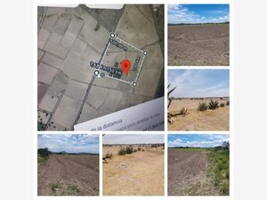 Terreno en Venta en Tepetzingo Nopaltepec