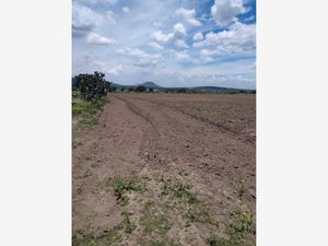 Terreno en Venta en Tepetzingo Nopaltepec