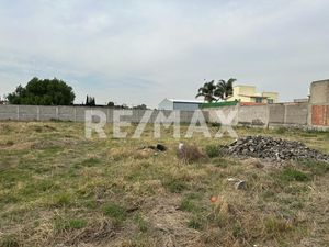 TERRENO EN VENTA EN CHICOLOAPAN