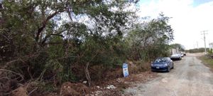 Terreno en el poniente de Mérida, Yucatán