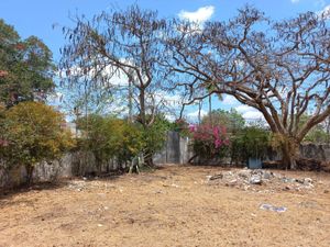 VENTA DE TERRENO EN GARCIA GINERES