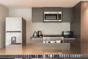 Luxury Apartment Polanco Brown